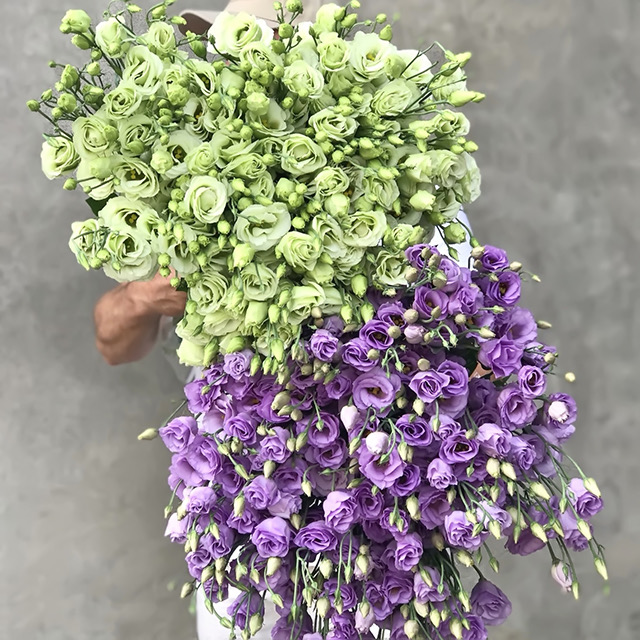 Bouquet «Joy»
