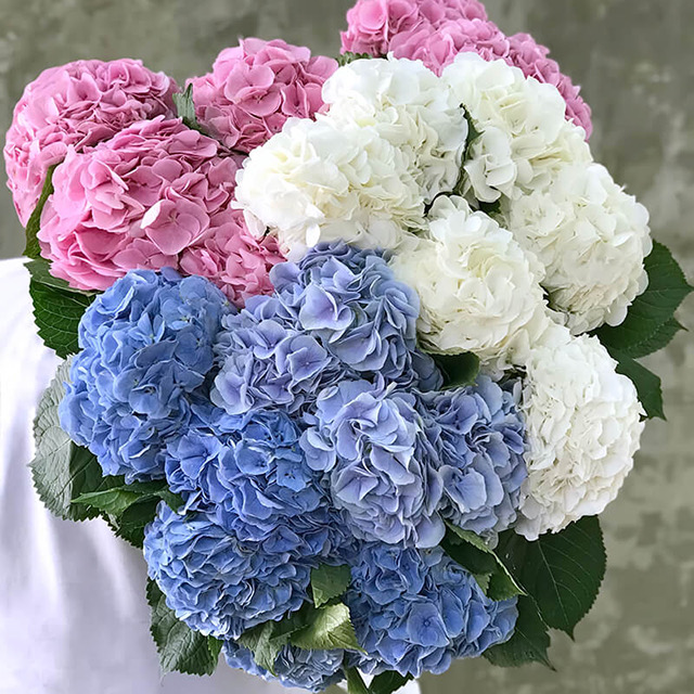 Bouquet «Pleasant»